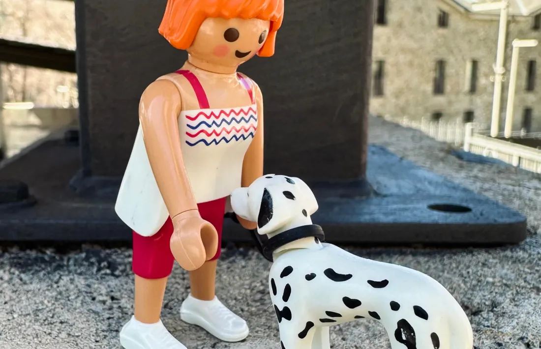 Estimar una mascota és estimar sense filtres, i perdre-la és aprendre a conviure amb una absència que deixa empremta.