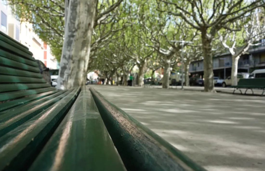  El passeig Joan Brudieu de la Seu, un dels punts més emblemàtics de la ciutat. 