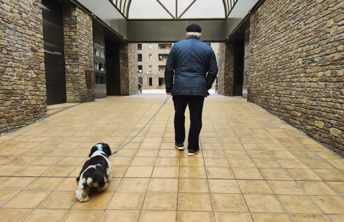 El propietari d'un gos passejant per la capital.
