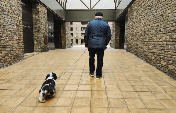 p. 08 Gos - Facundo Santana