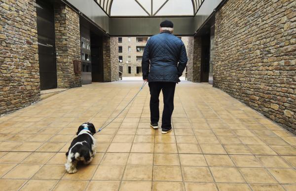 Proposen que calgui autorització prèvia per poder tenir animals