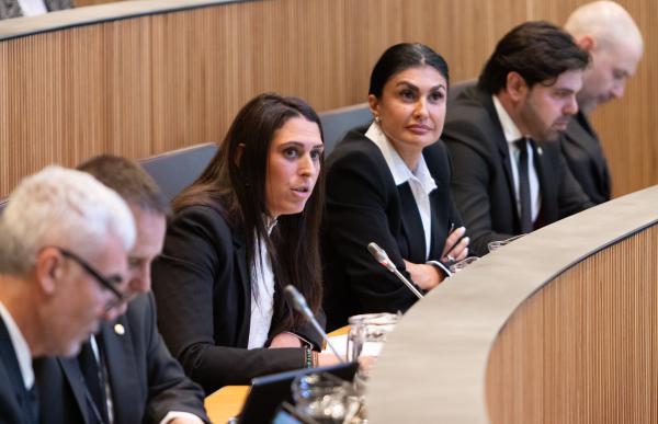 andorra-endavant_consell-general-(2) (1)