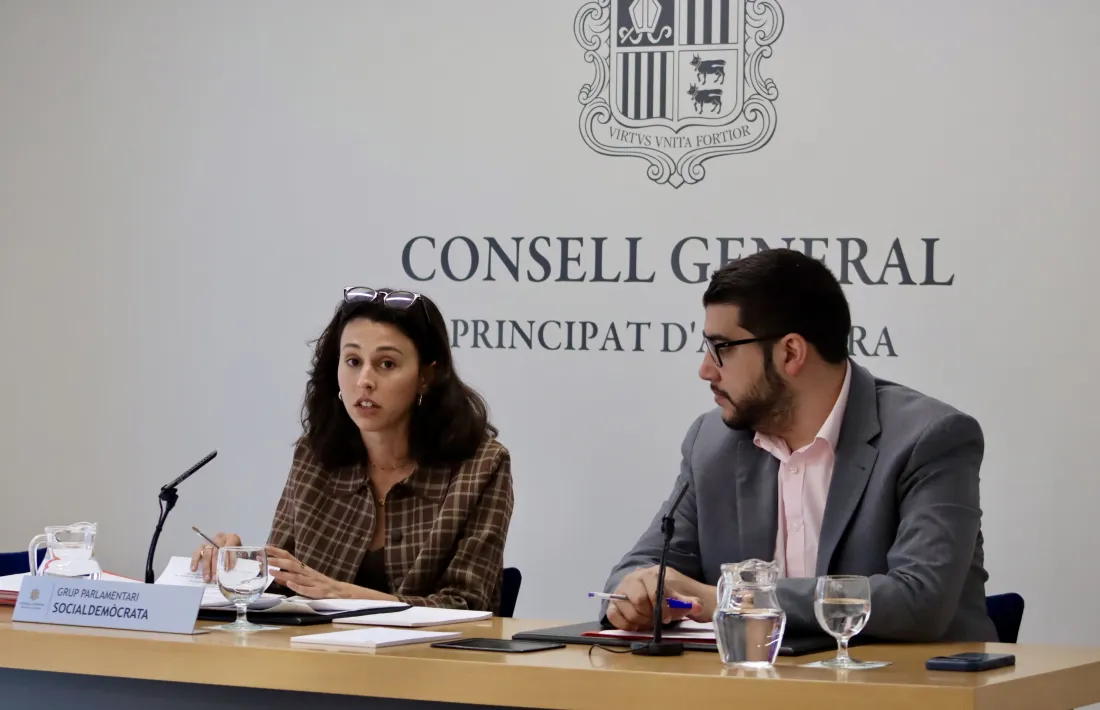 Els consellers generals socialdemòcrates Laia Moliné i Pere Baró han explicat avui les esmenes de la formació.