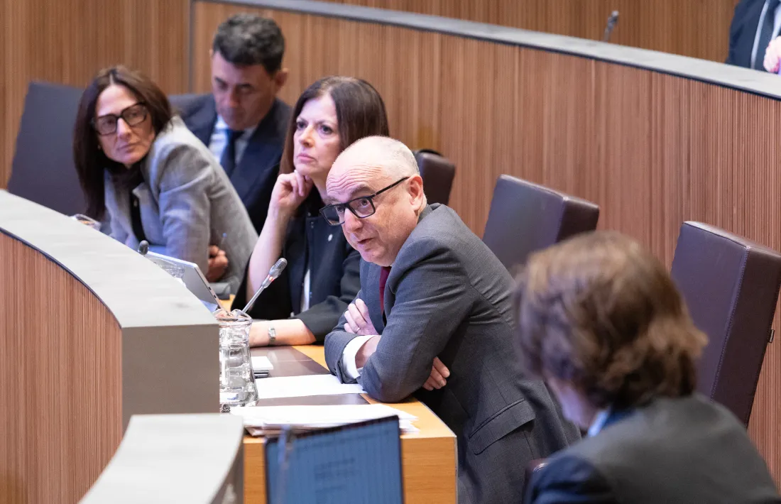 p. 04 llados_consell general