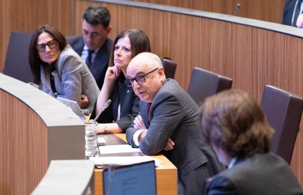 p. 04 llados_consell general