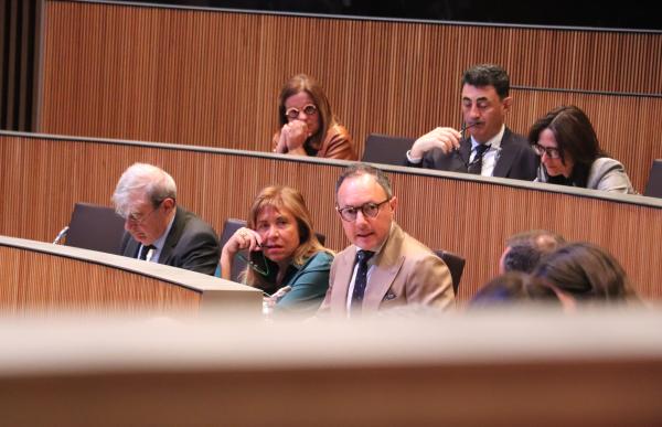 S'estudia incloure la compra sobre plànol al programa d'avals