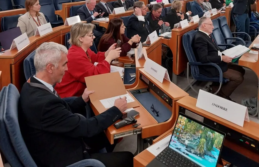 Marc Magallon durant la Conferència de Presidents de la Regió Europa de l'APF.