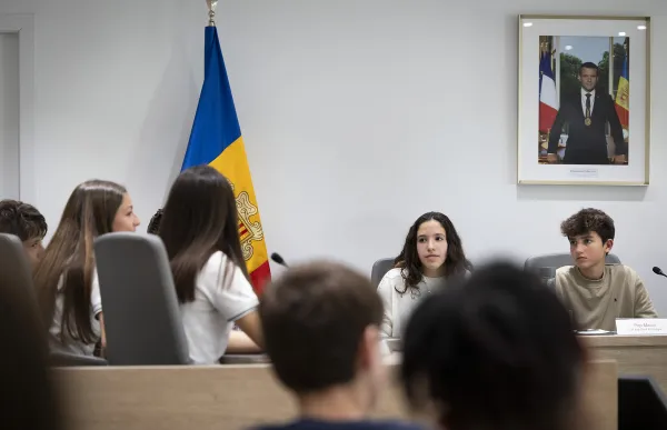 p. 10 consell dels joves