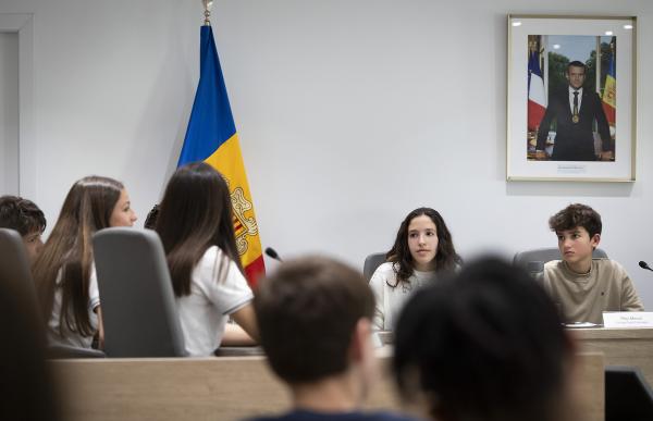 p. 10 consell dels joves