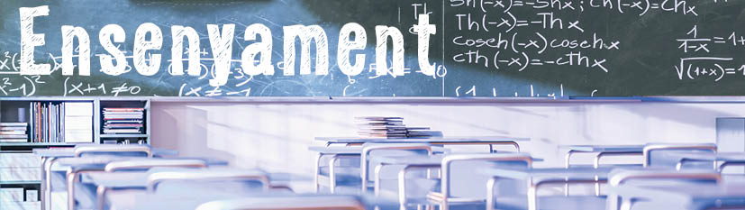 Banner web constitucio