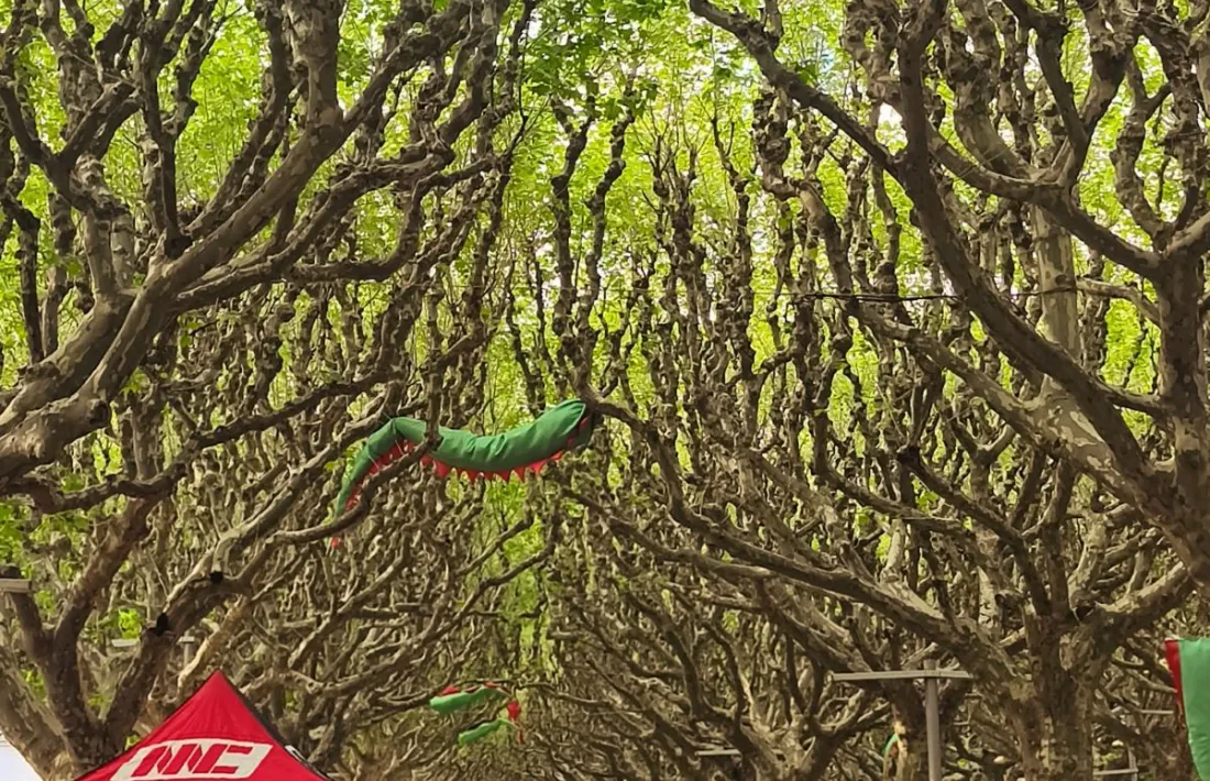 El Passeig, des de la parada de l'Anna Carmona. Al costat de la de Junts, on s'ha reunit la plana major i menor del partit. 