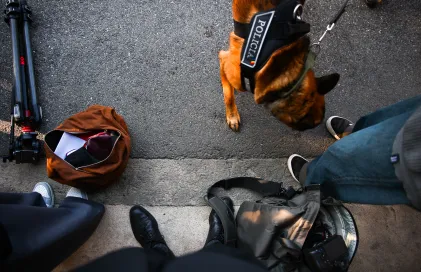 Emmanuel Macron - Facu Santana -4