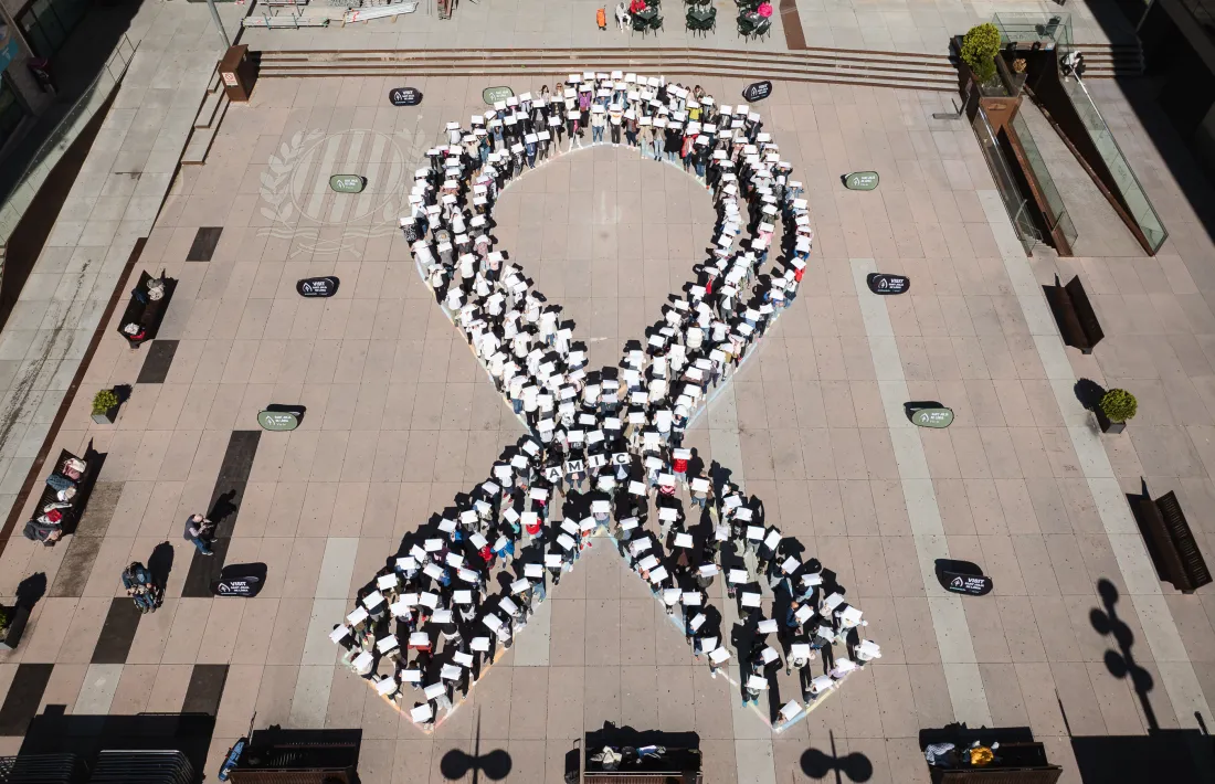 Enguany també s'efectuarà el llaç solidari.