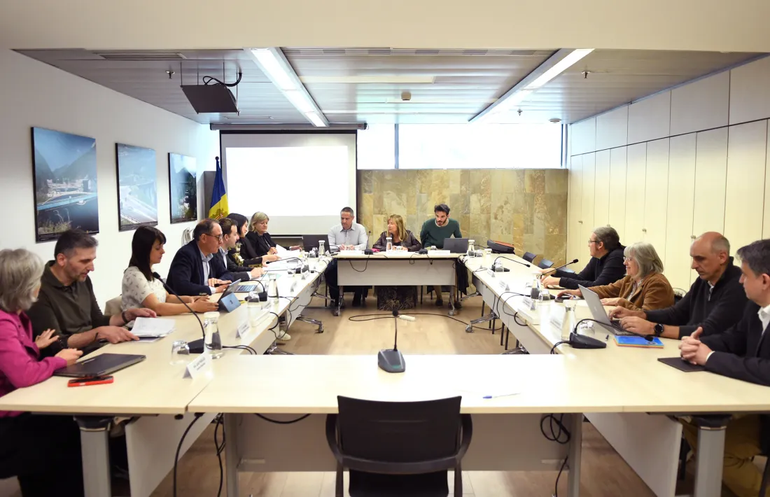 La reunió del Consell Andorrà d’Estadística d'aquest dimarts.