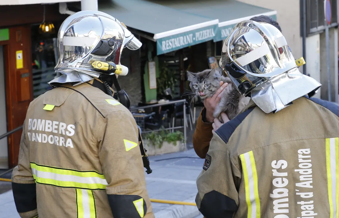 Els bombers rescaten un gos i un gat en un incendi a l’avinguda Fiter i Rossell d’Escales