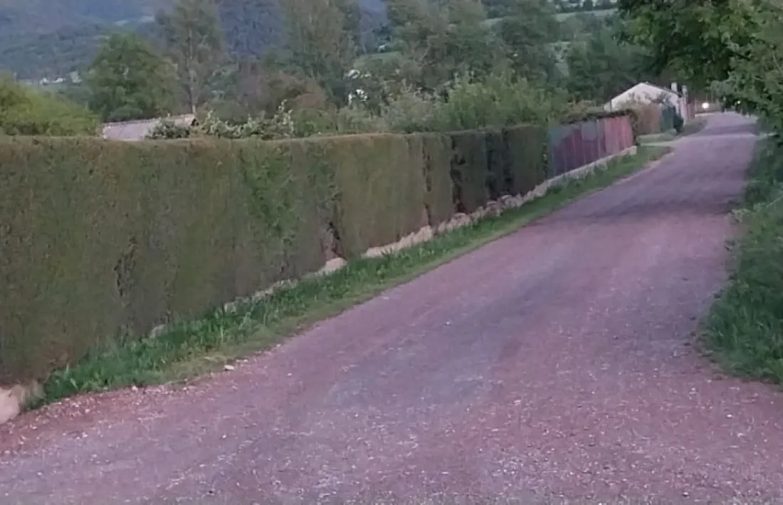 Un dels "camins perimetrals" que s'asfaltarà per decisió de l'alcalde.     