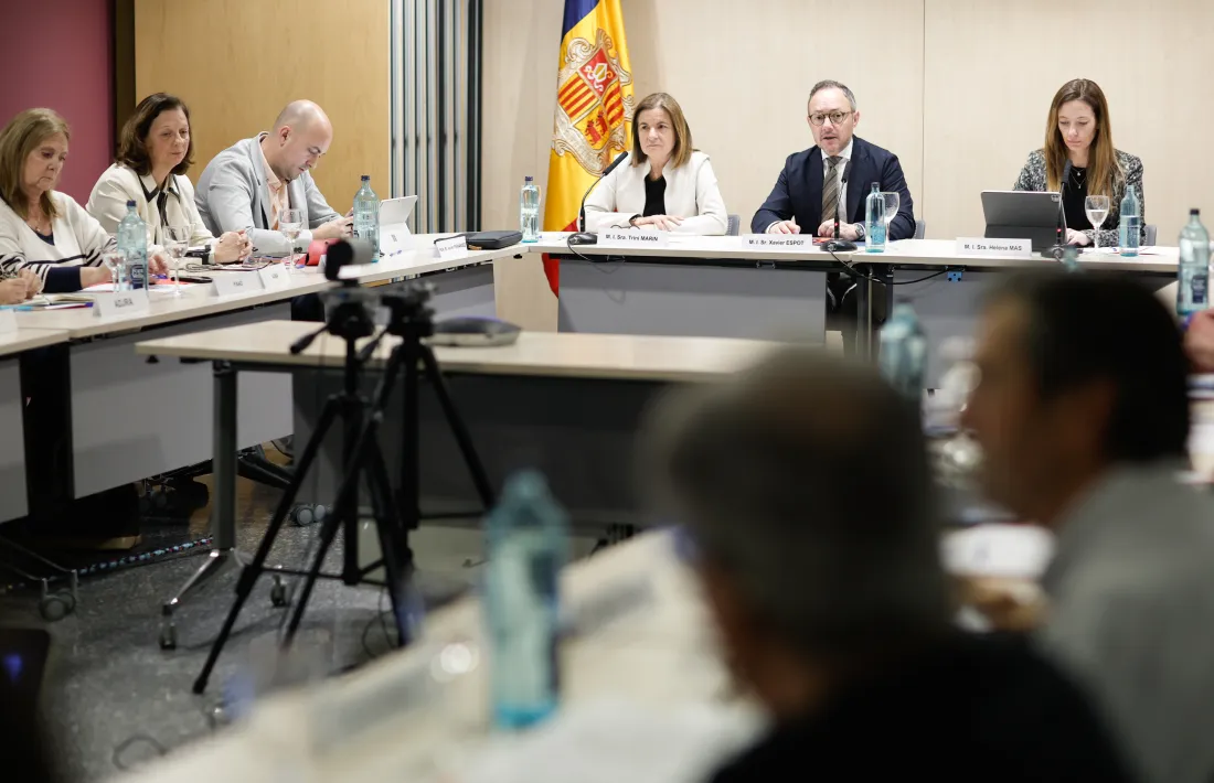 Espot ha presidit la reunió de la Conadis.