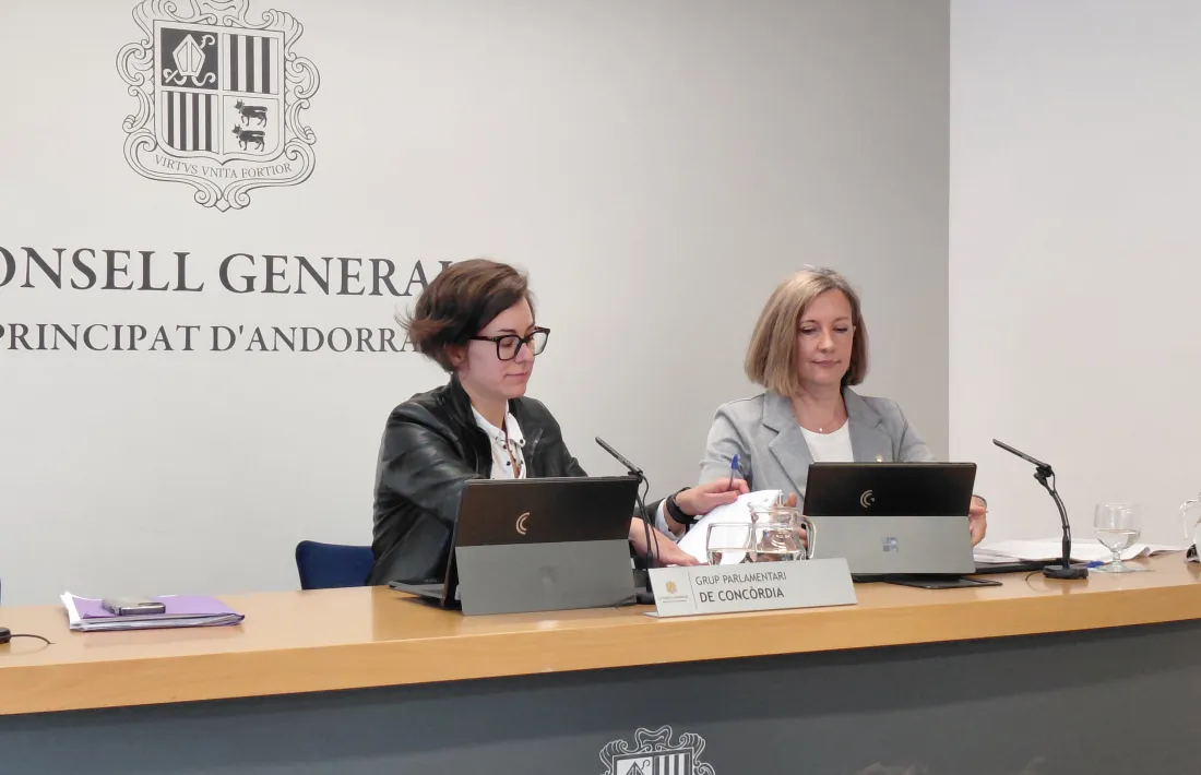 Segués i Aché han presentat avui les esmenes de Concòrdia a la modificació de la Llei dels drets dels infants i adolescents.