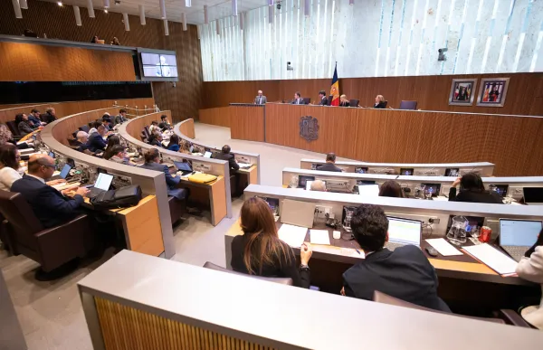 consell general